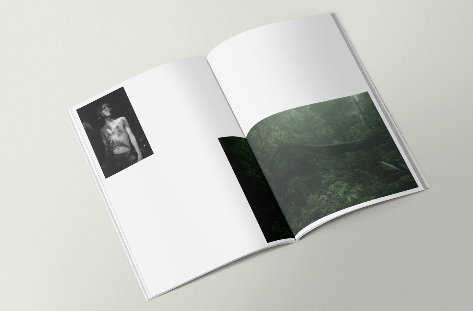 Yogur_Wildness_flavour-7