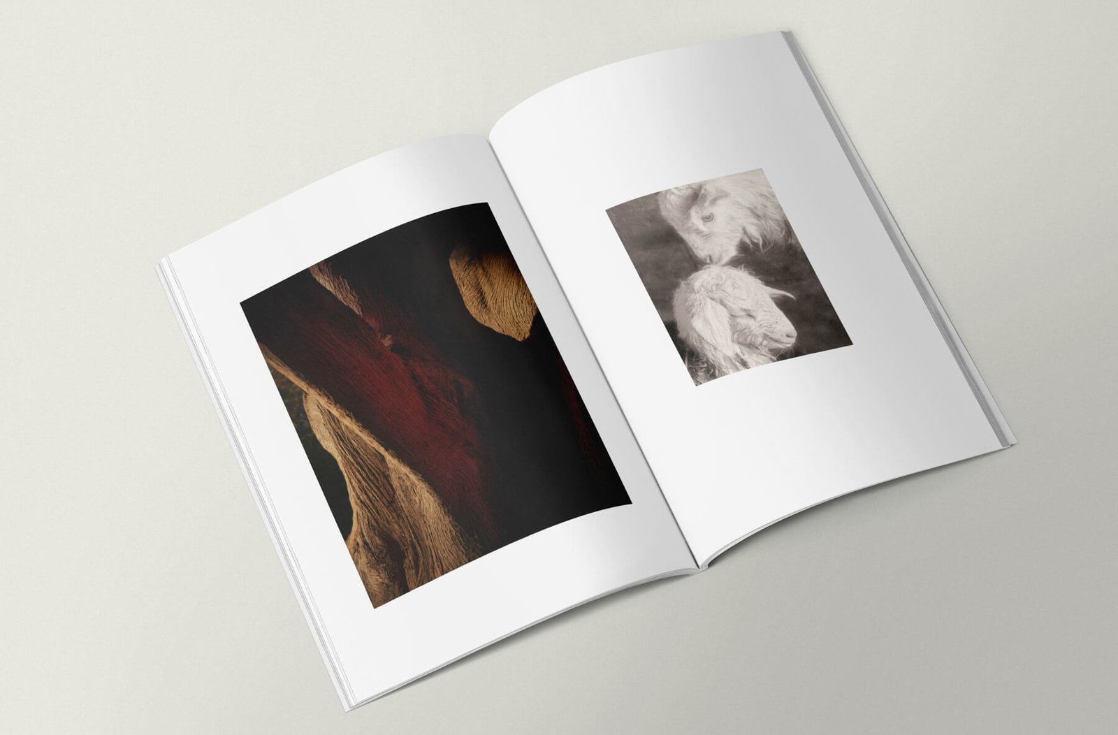 Yogur_Wildness_flavour-8