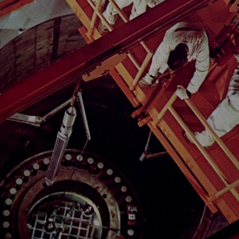 The Elephant's Foot_Edward Nurton_Yogurt Magazine_12