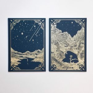 I saw a tree bearing stones in the place of apples and pears by Emilia Martin