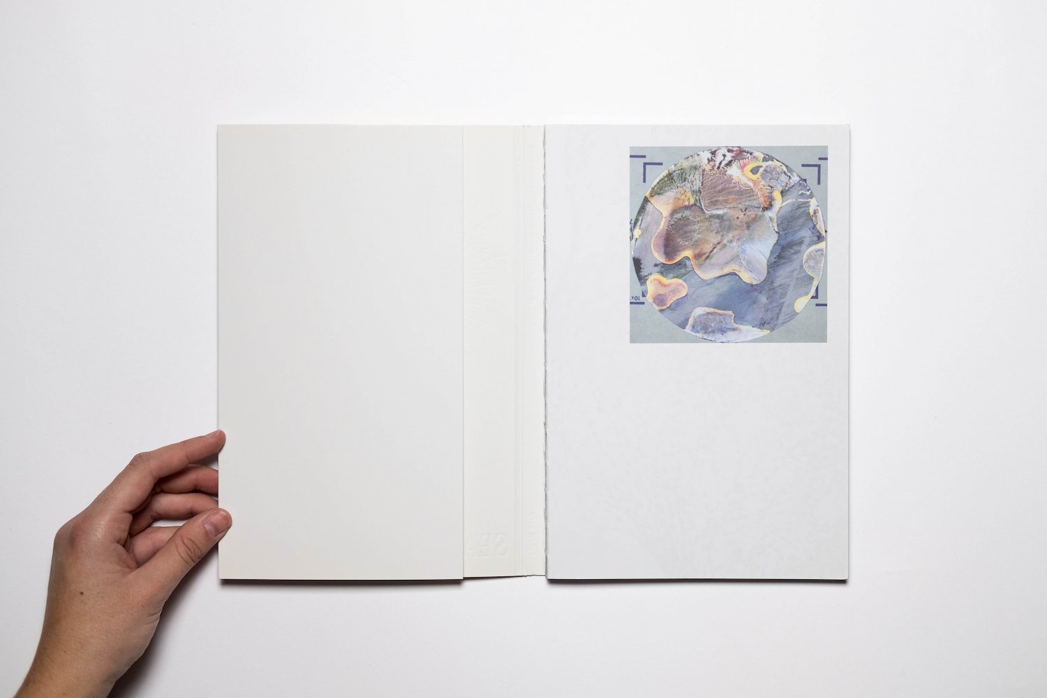Algues Maudites_a sea of tears_yogurtmagazine_02