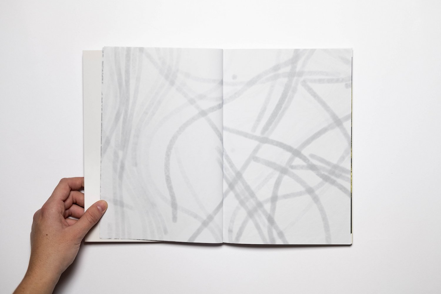 Algues Maudites_a sea of tears_yogurtmagazine_03