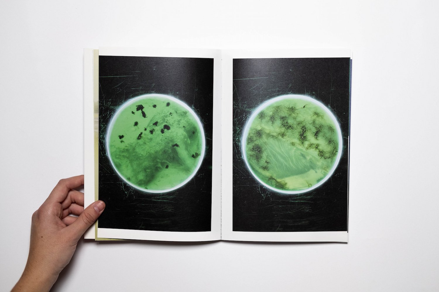 Algues Maudites_a sea of tears_yogurtmagazine_04