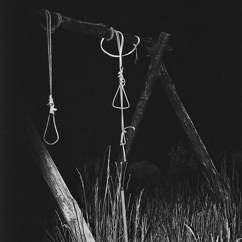 Matteo Giardiello_Neverrmind if I'm blind_Yogurt Magazine_5