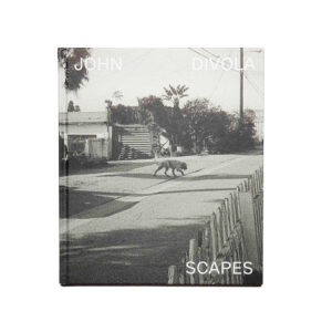 Scapes by John Divola - Display Copy