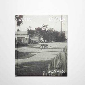 Scapes by John Divola - Display Copy