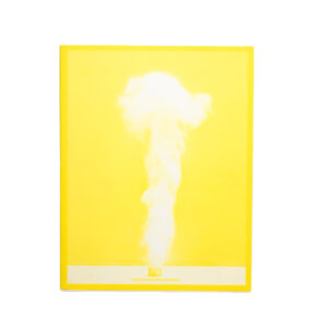 PHÉNOMÈNES by Marina Gadonneix - Display Copy