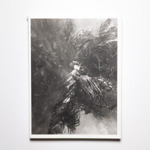 Initium Maris by Nicolas Floc’h - Display Copy