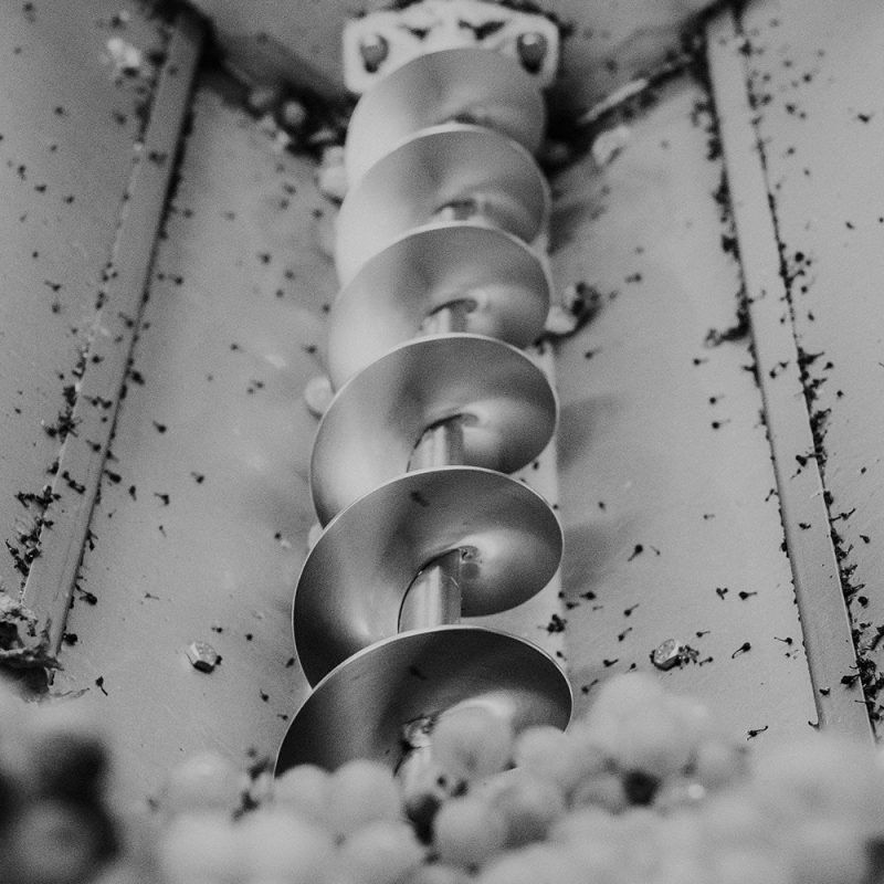 TerˈWär_RobertaScampone_Yogurtmagazine_1