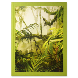 Supernatura by Annamaria Belloni