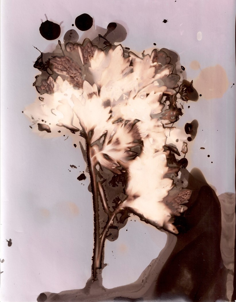 08Untitled