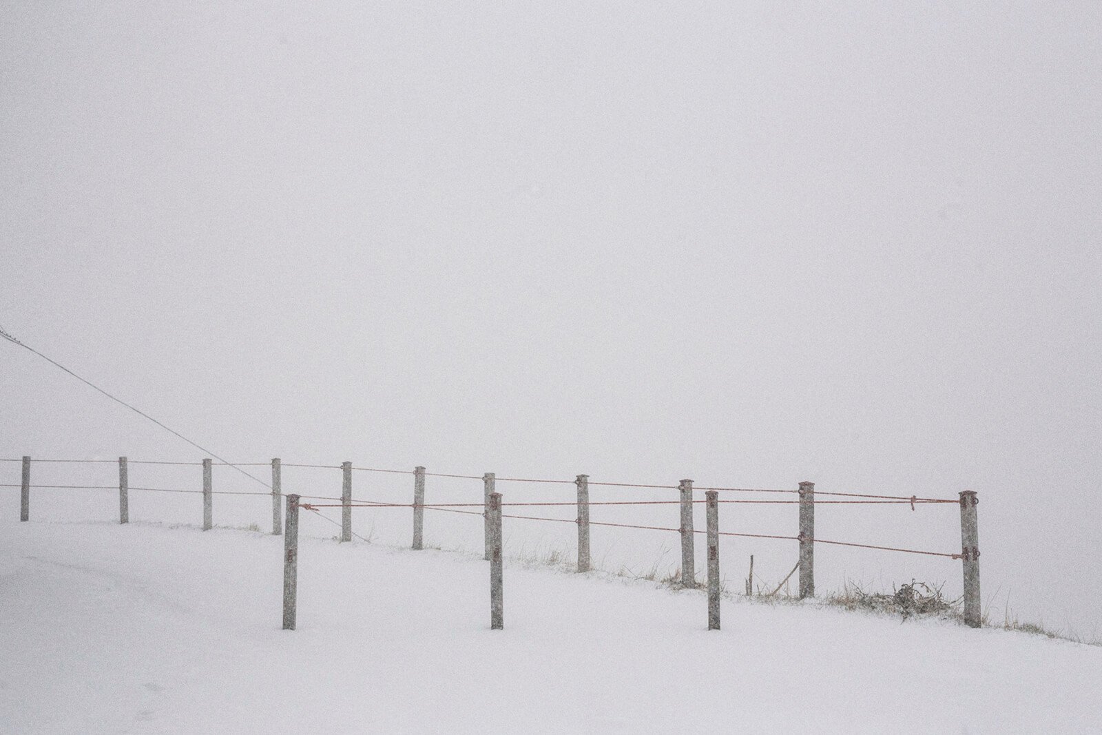 la-neve-nel-cuore_linda-pezzano_yogurt-magazine_15