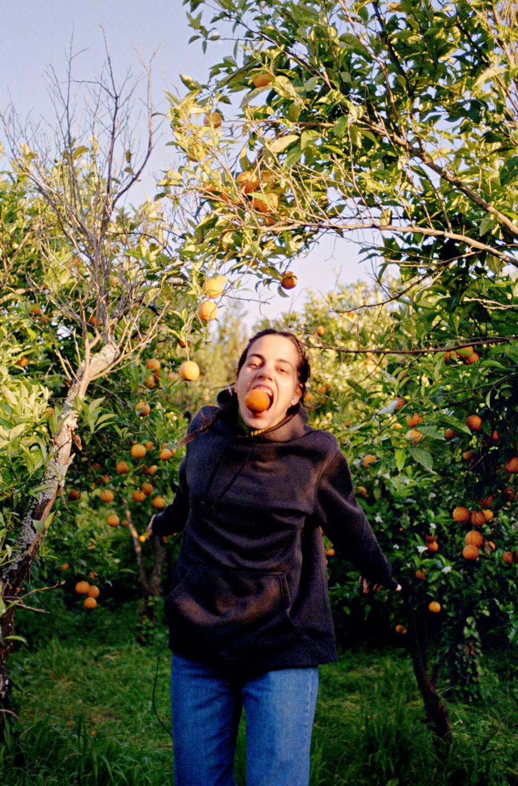 2024_SnatchingOranges_44x29cm