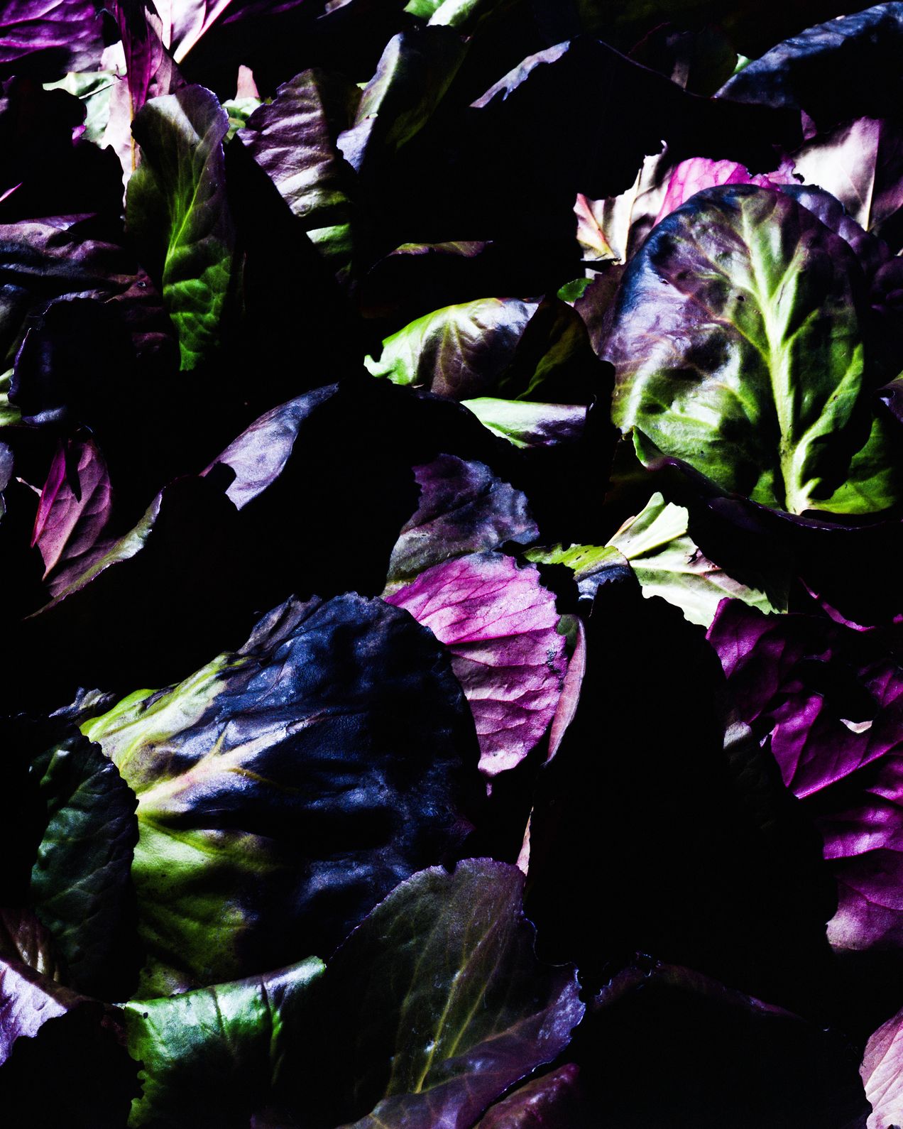 Vegetation_032024