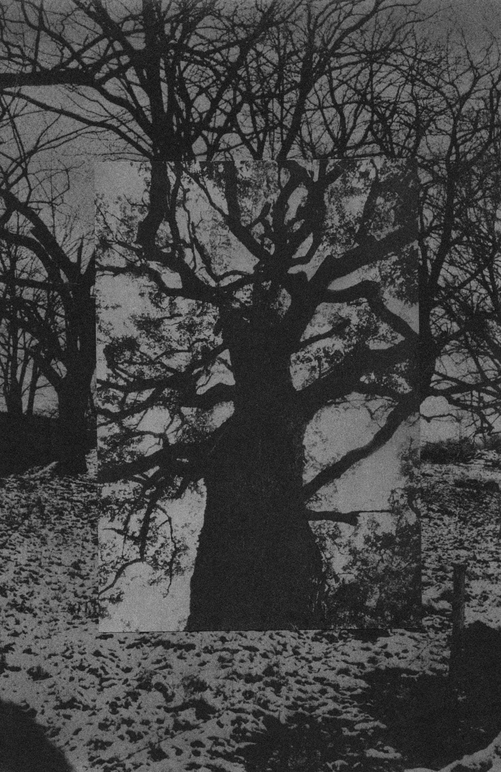 AndThenThereWasth-Night_Yogurtmagazine_01