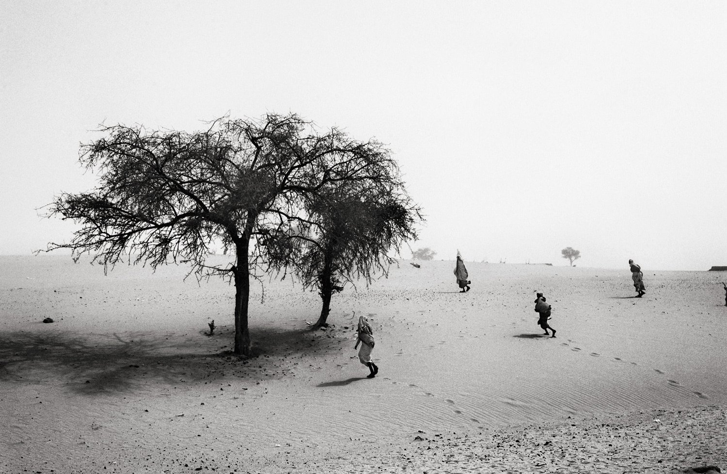 Diaries_FrancescoZizola_30