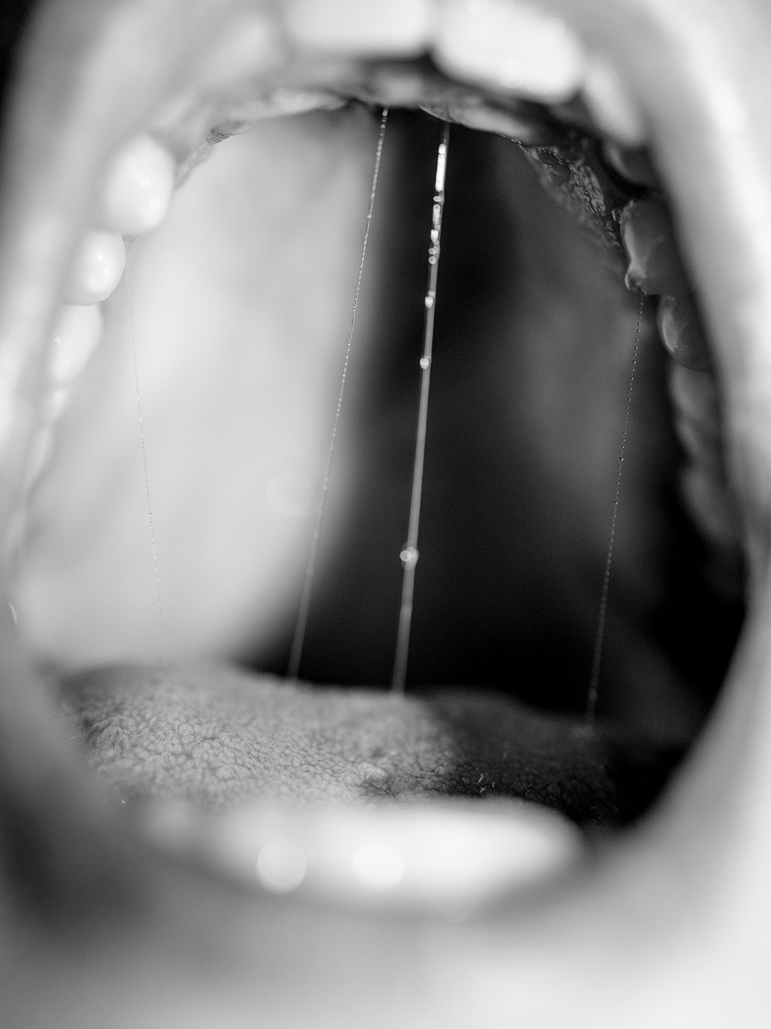 Eva_Vei_Touch_the_floor_04