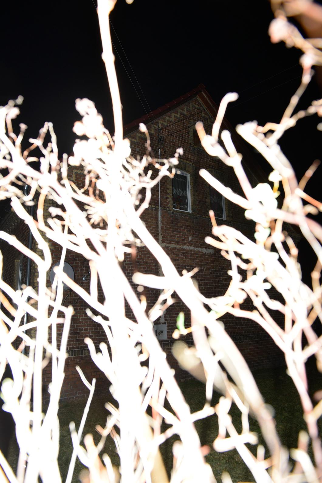MindofWinter_02