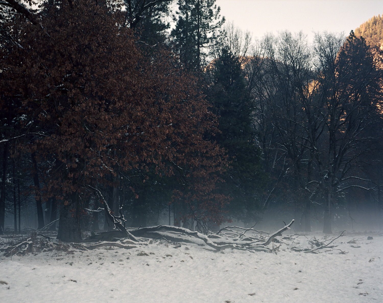 TheCedarLodge_Maya_Meissner_08-