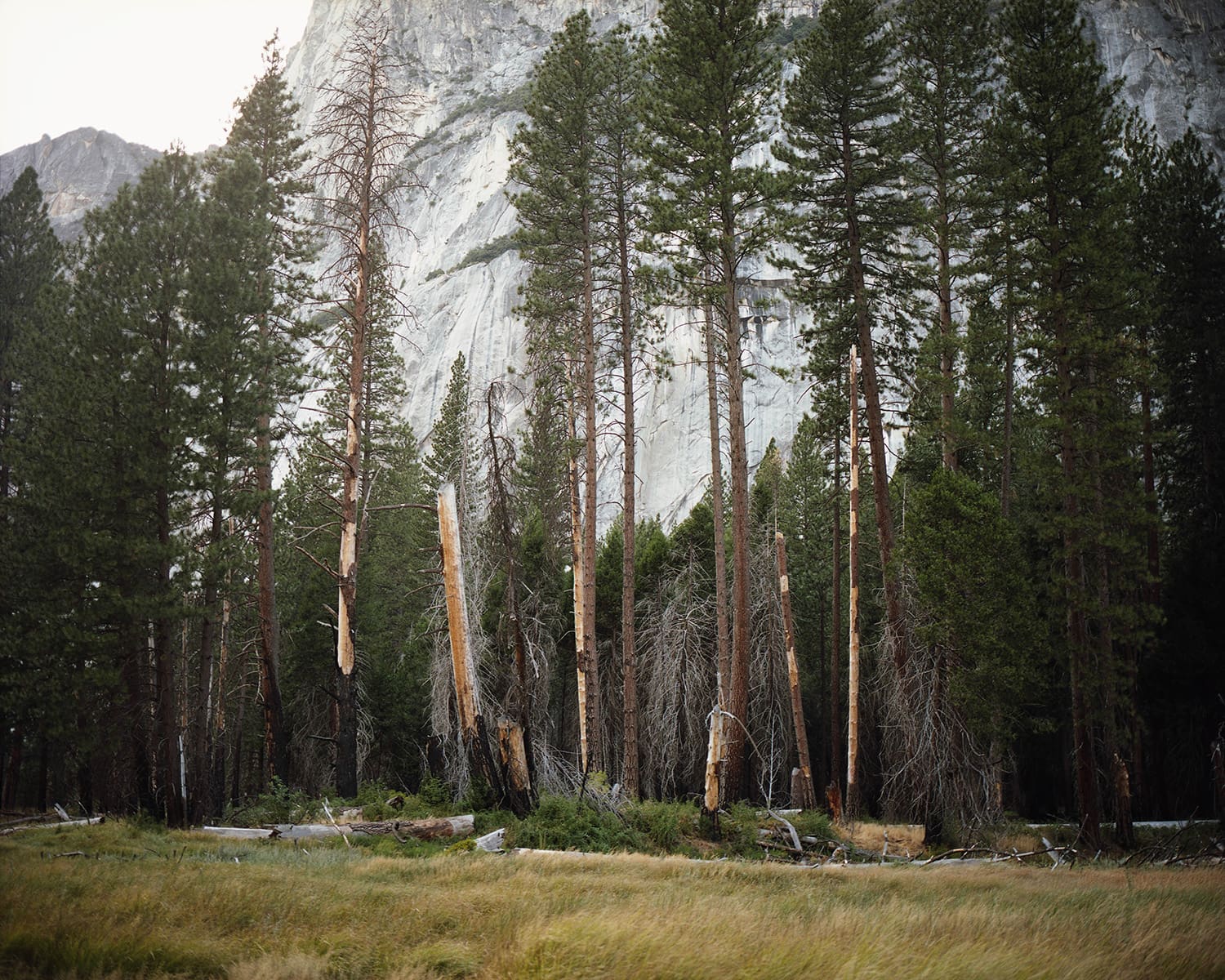 TheCedarLodge_Maya_Meissner_20