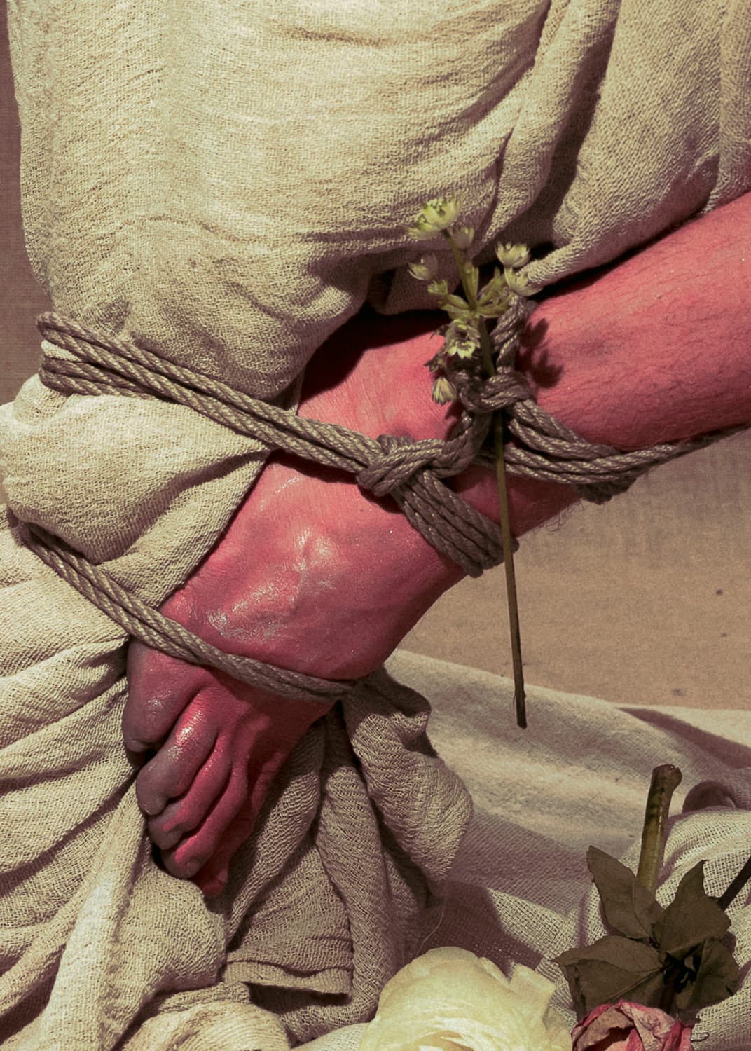 Wetpaint_Yogurtmagazine_05