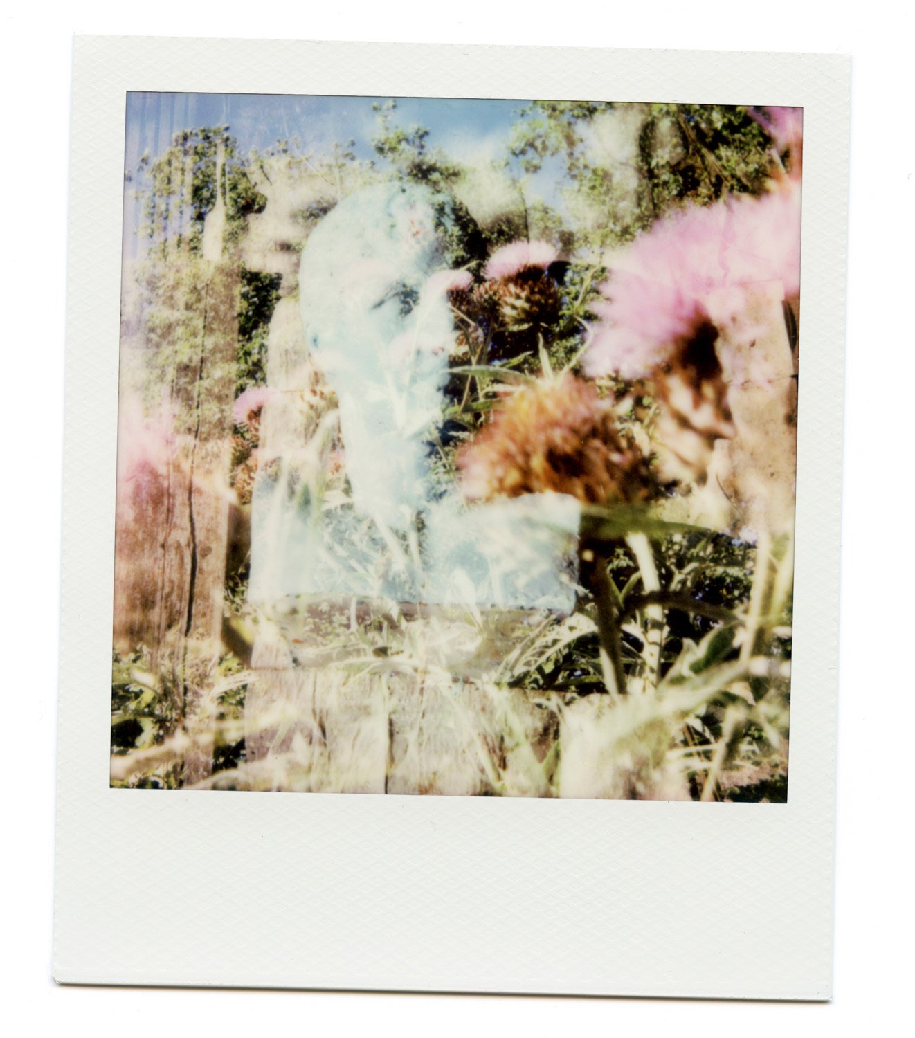 Wetpaint_Yogurtmagazine_10