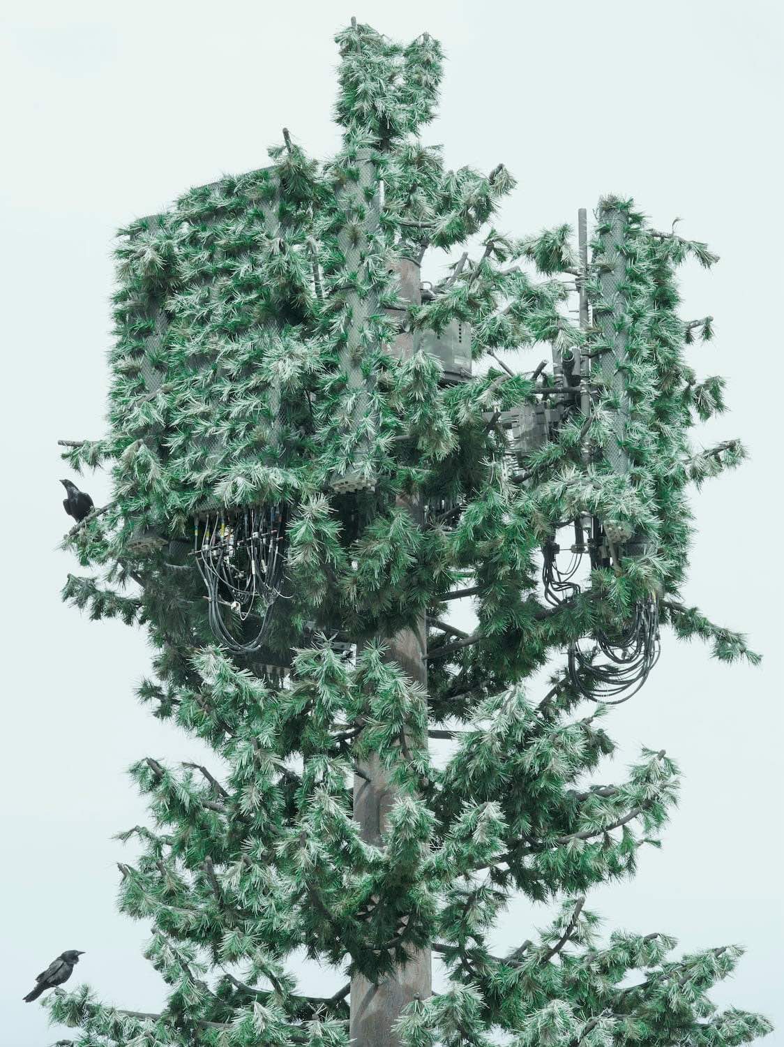 American-Glitch_Andrea-Orejarena-Caleb-Stein_Yogurt-magazine_16-280kb