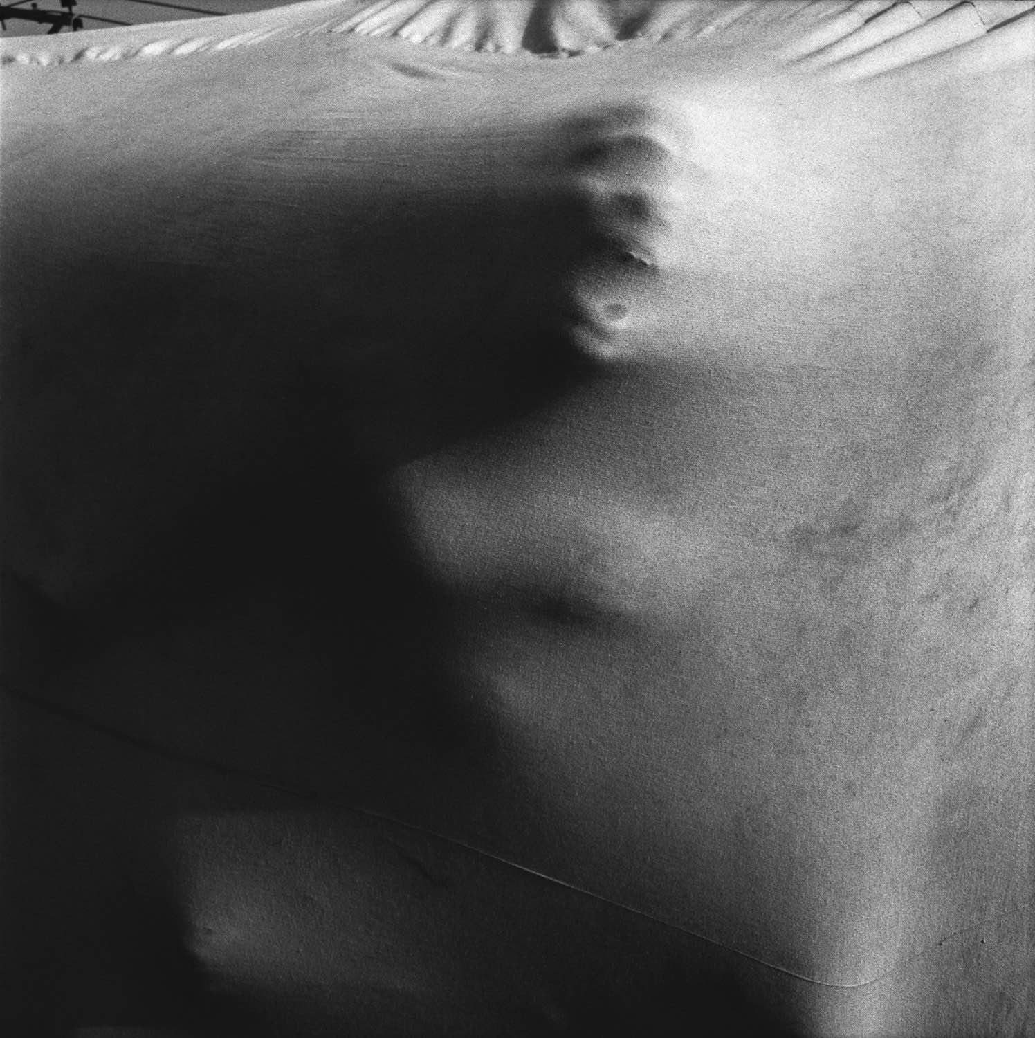 Dravidian-Catharsis_Yannick-Cormier_Yogurt-magazine_11