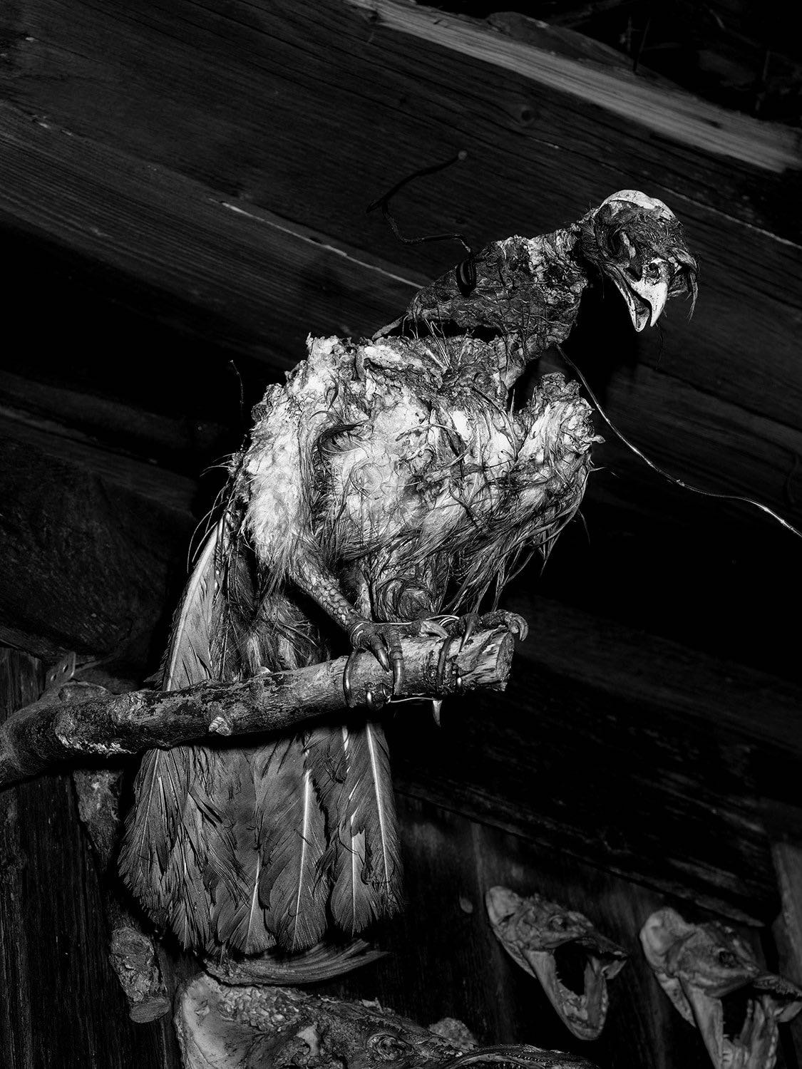 In-Praise-of-Shadows_Tomasz-Kawecki_Yogurt-magazine_07-280kb