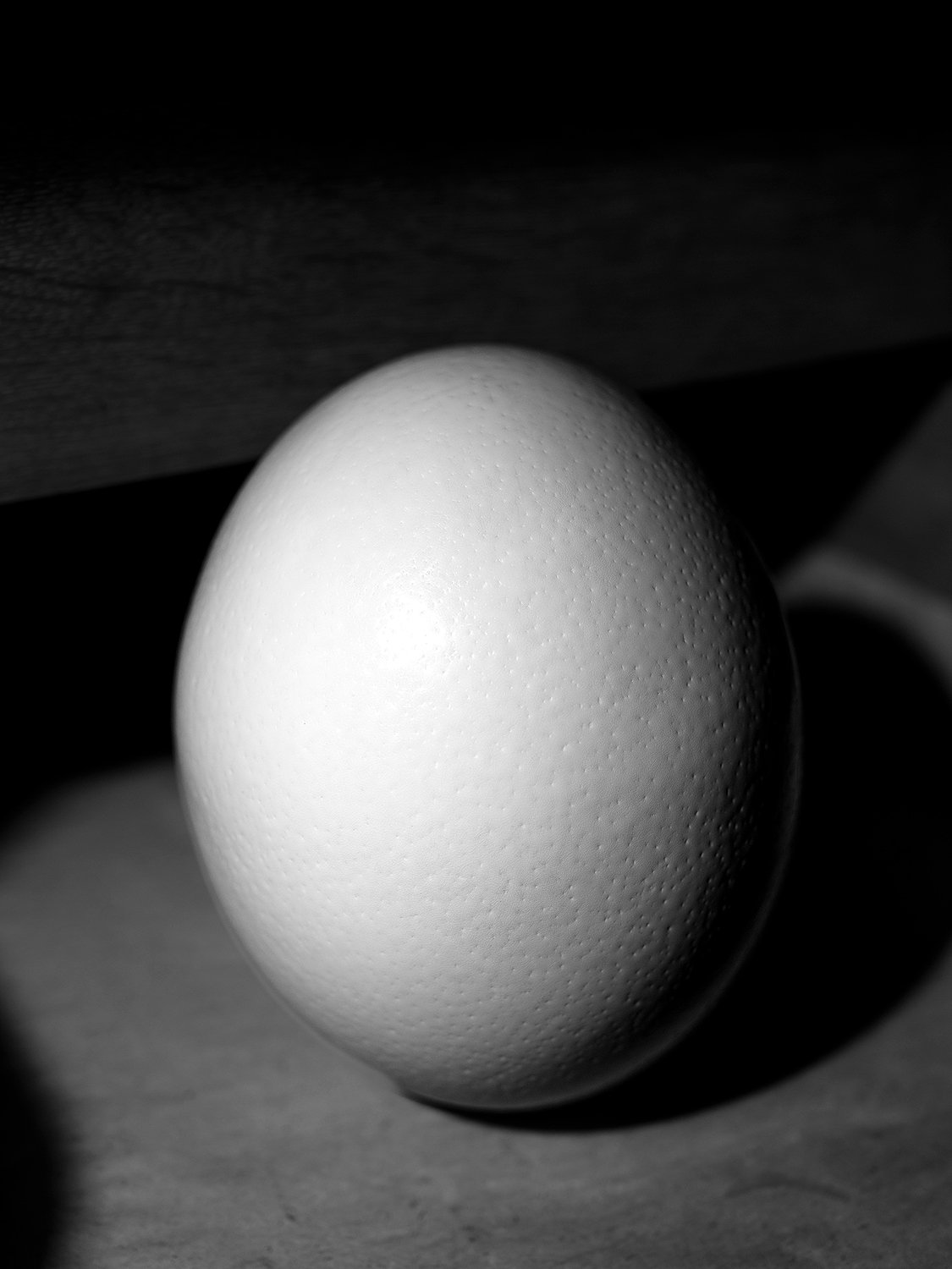 In-Praise-of-Shadows_Tomasz-Kawecki_Yogurt-magazine_08