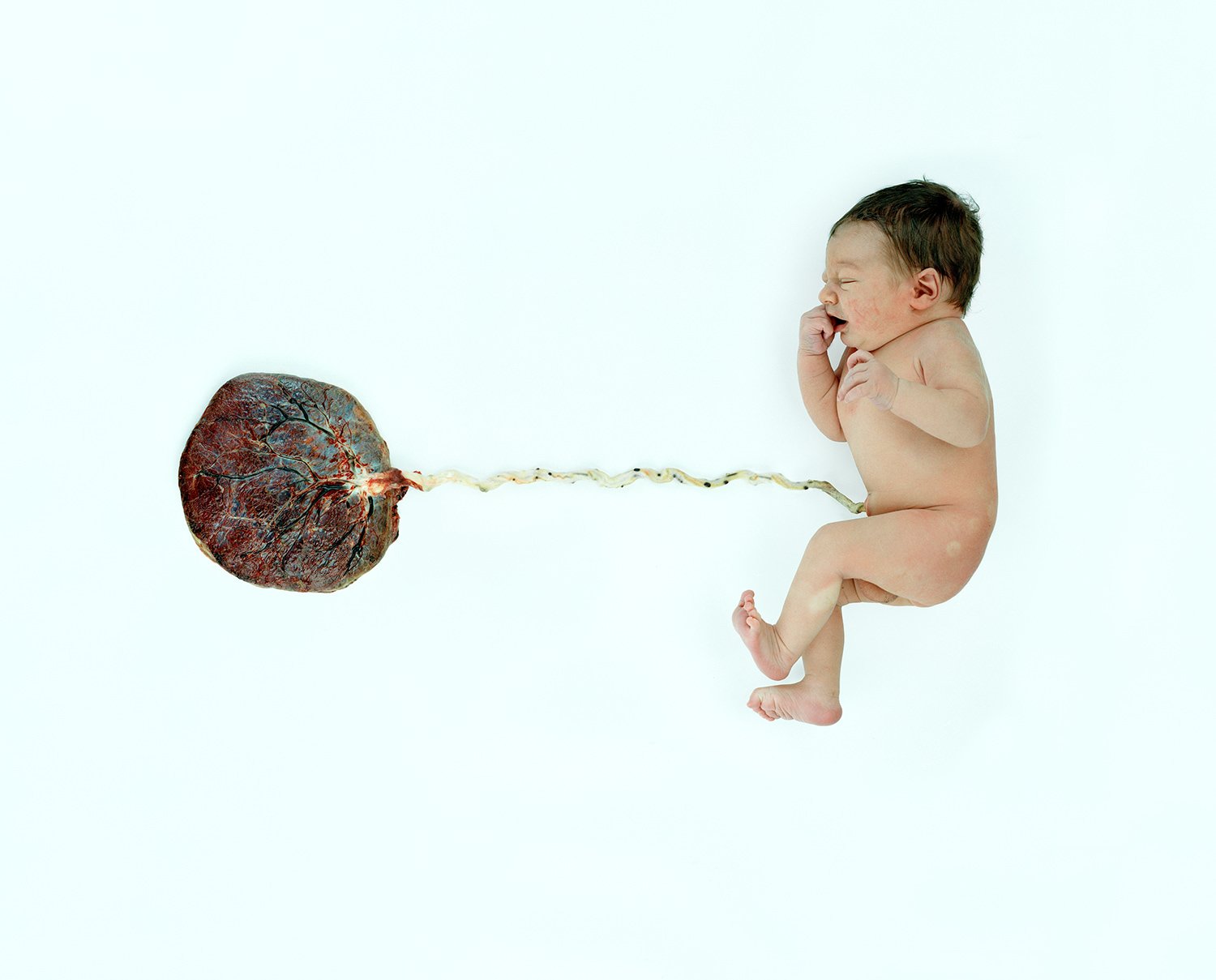 The-Nature-of-Things_Balazs-Turos_Yogurt-magazine_08