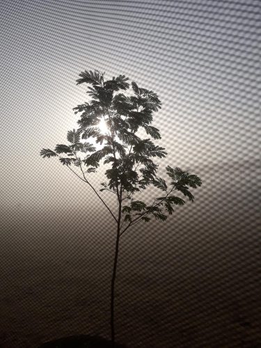 20181109_071920