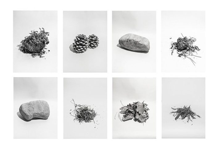 21.Chiara-Pavolucci_500mt-around-me_Yogurt-Magazine-1