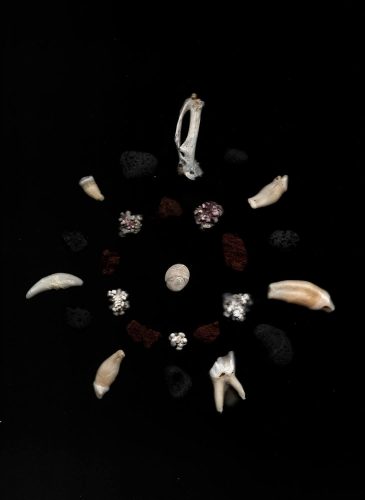Ashes_IlariaDeLorenzi_Yogurtmagazine_17-2