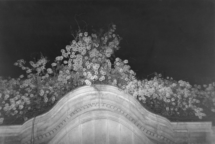 BALCONFLEURBORDEAUX069
