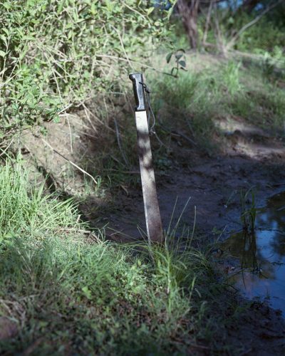 El-Rey-Blanco_Maximiliano-Tineo_-4
