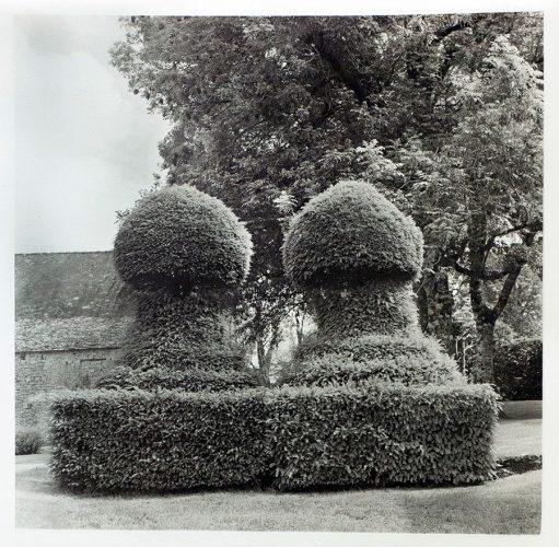 IfjardindeMarqueyssac_