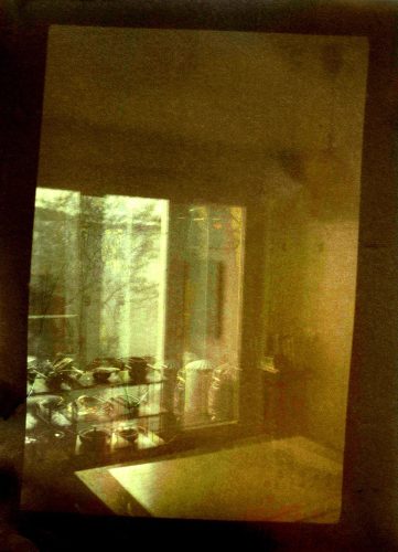 IsabelPousset_Project_YOGYRT15