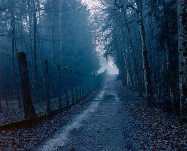 The forest belonged to my grandmother's family until it was nationalised during Yugoslavia and became Josip Broz Tito's hunting grounds. Many of my grandmother's childhood memories are kept there.