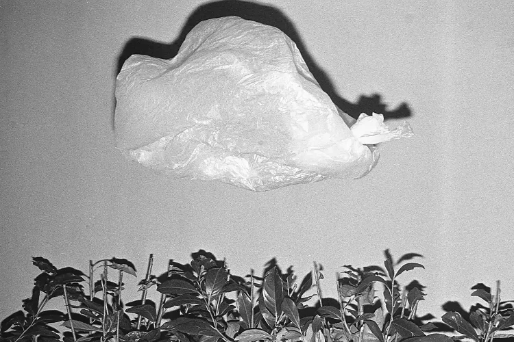 Matteo-Giardiello_Neverrmind-if-Im-blind_Yogurt-Magazine_18
