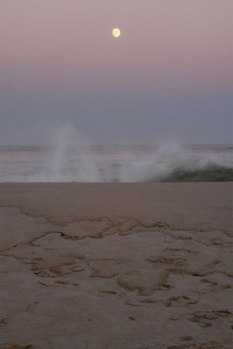 N_Schwartz_13