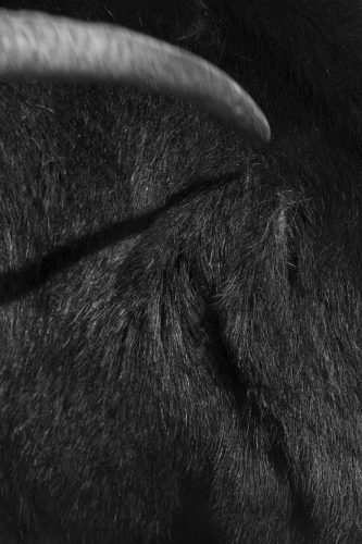 Road-to-Black_Giulia-Madiai_-Yogurt-Magazine_17-scaled