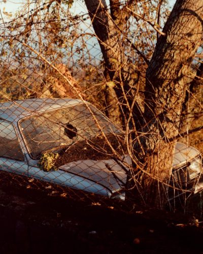 SDG_67_SANTAVENERINA_ROLL1_IMG_3P_OK
