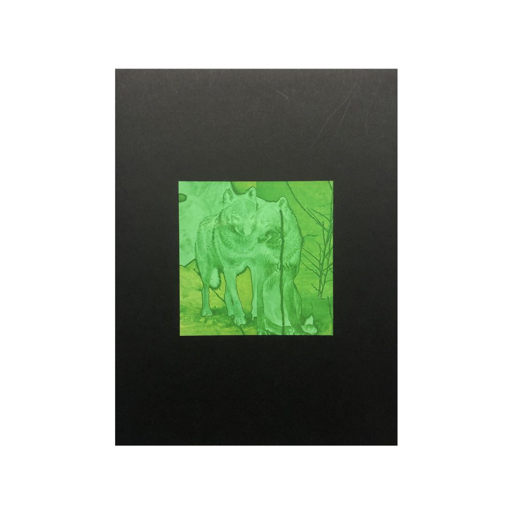 imagery_cover
