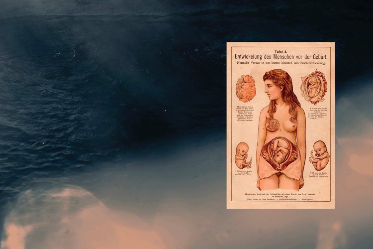 stillbirth_chiaraernandes_Yogurtmagazine_7
